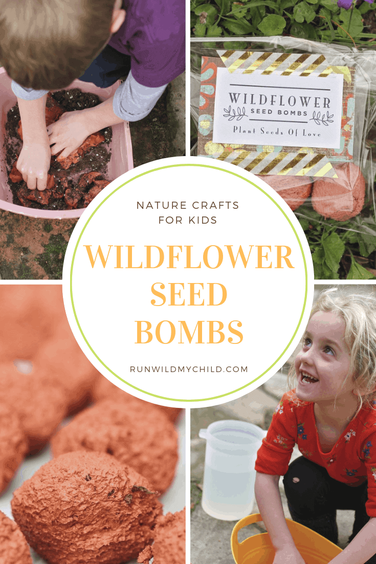 Making DIY Wildflower Seed Bombs with Kids