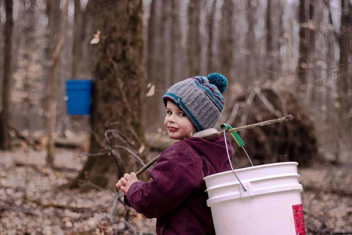 kids help making maple syrup