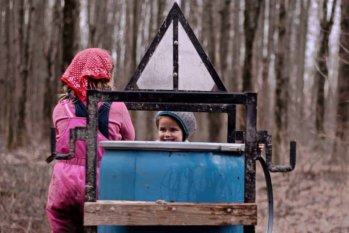maple syrup making with kids