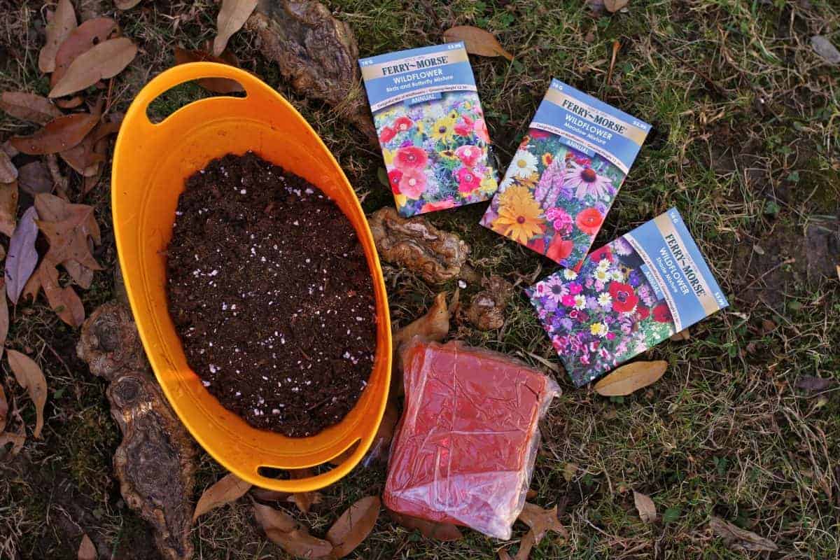 how to make diy wildflower seed bombs with kids - earth day crafts