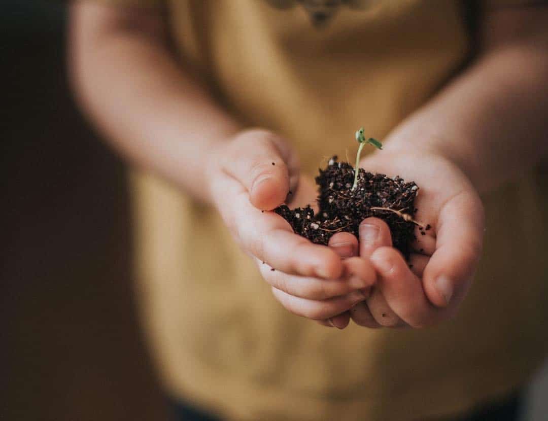 how to teach your kids to take care of the earth