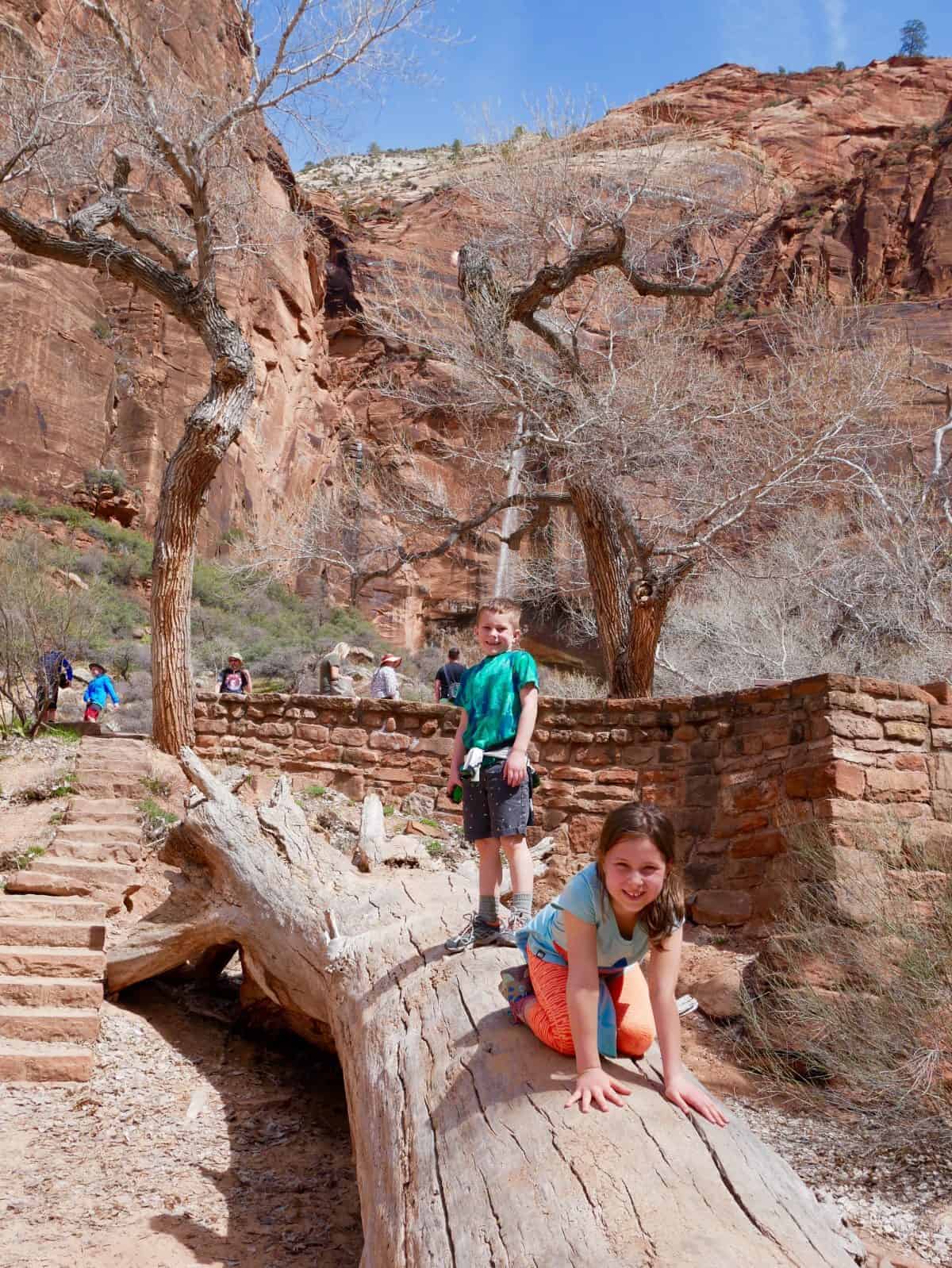 Zion NP with kids