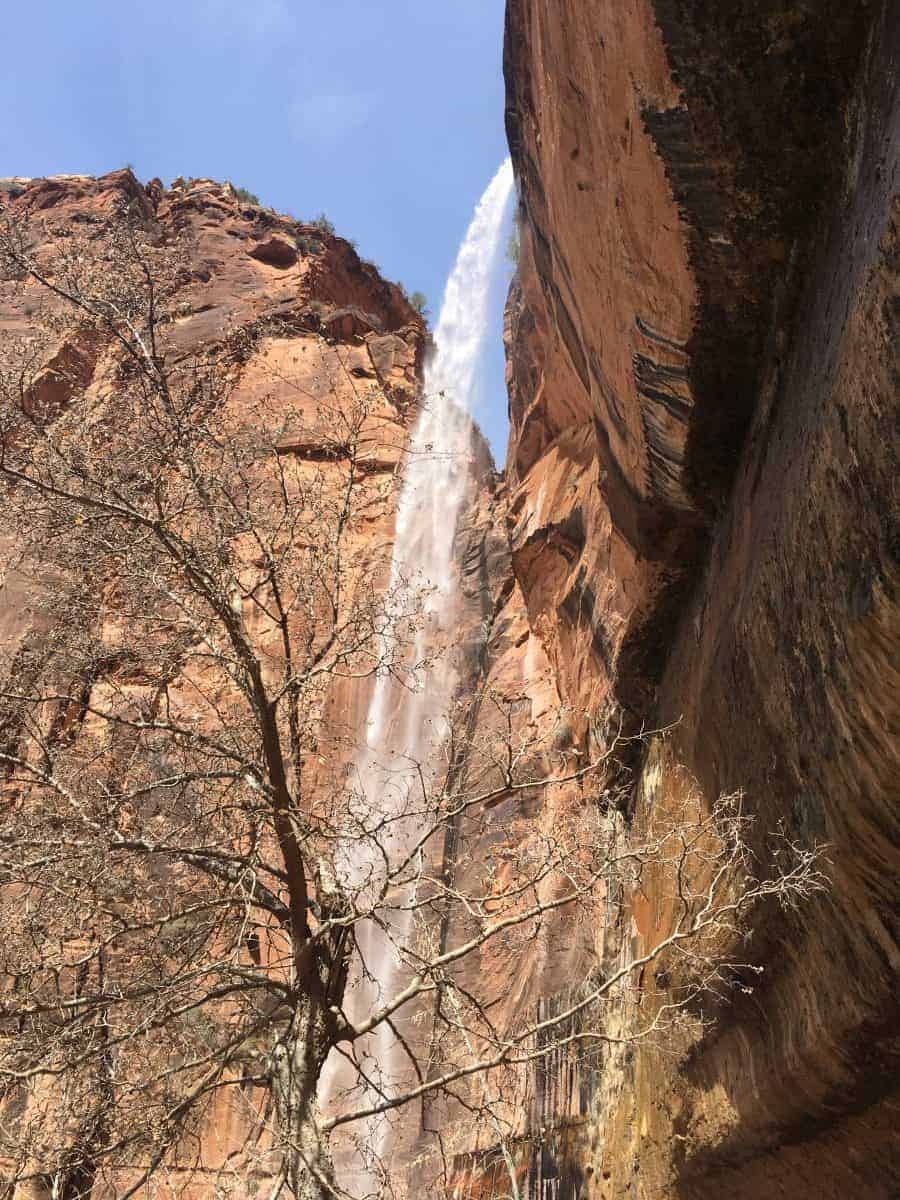 Family Friendly National Parks Trip - Zion, Bryce, Grand Canyon