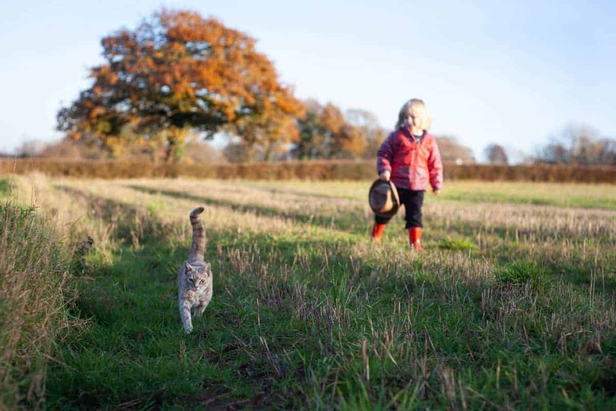 kids with pets are healthier and get outdoors more