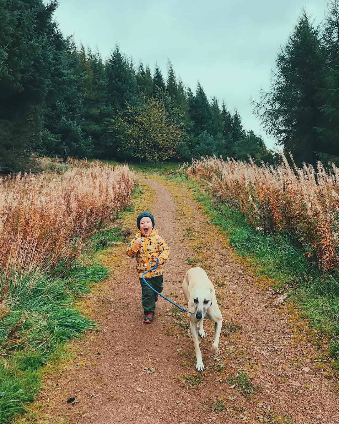 animals get kids outdoors more and into nature