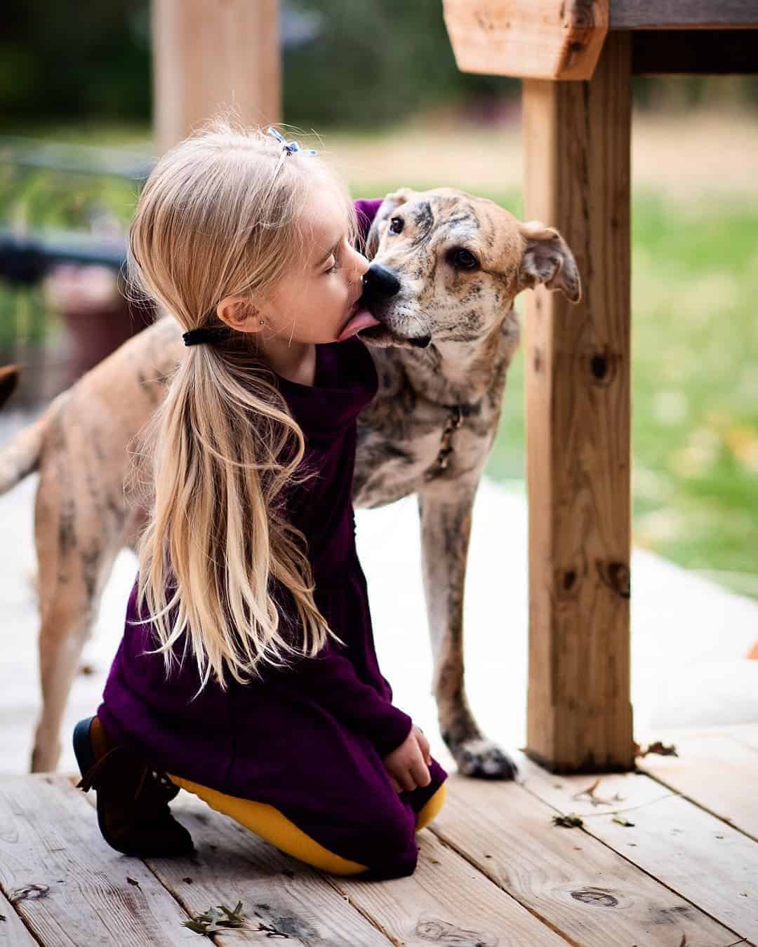20 Benefits of Raising Kids Around Animals • RUN WILD MY CHILD