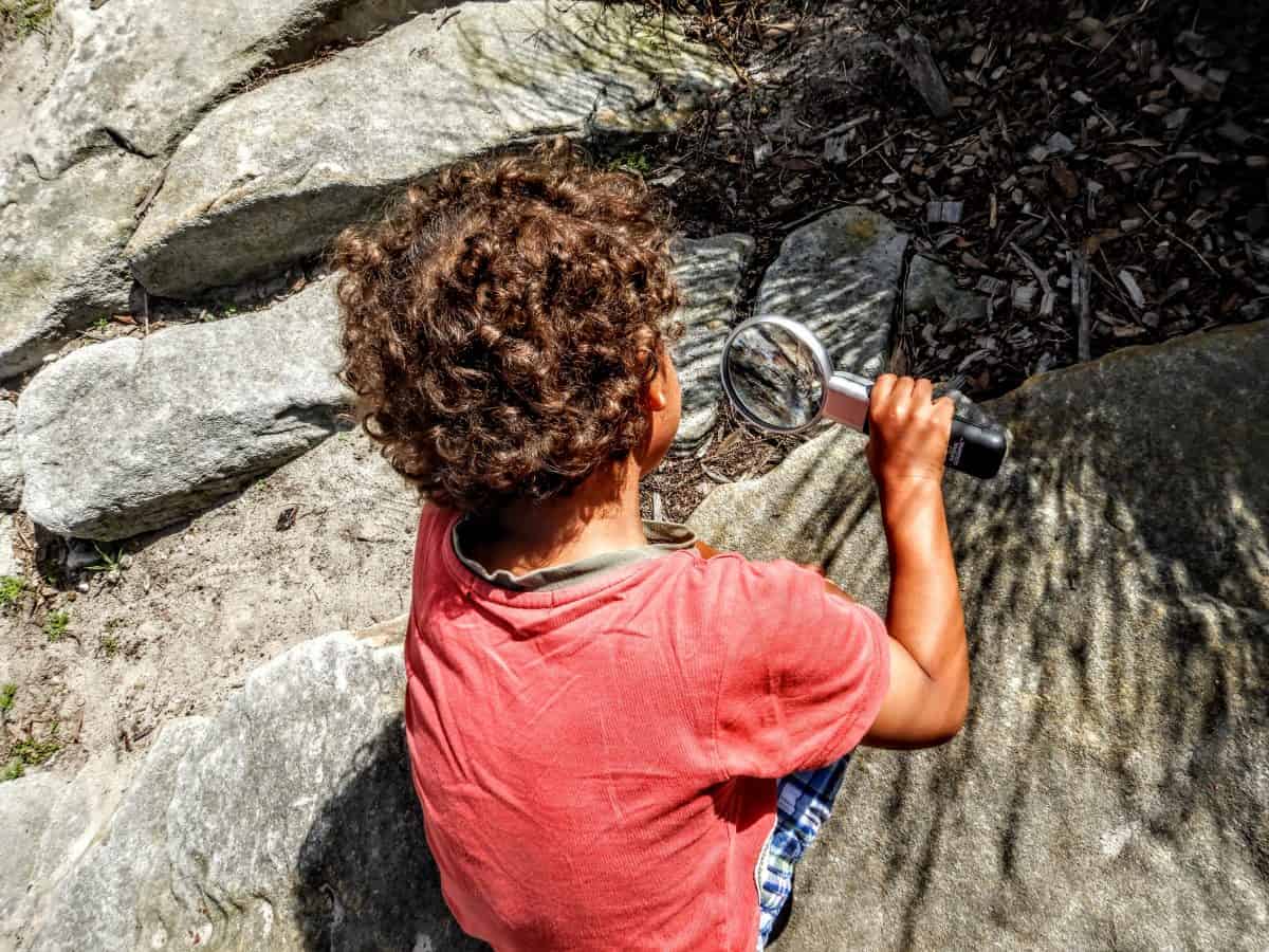 exploring your neighborhood on a hike with kids
