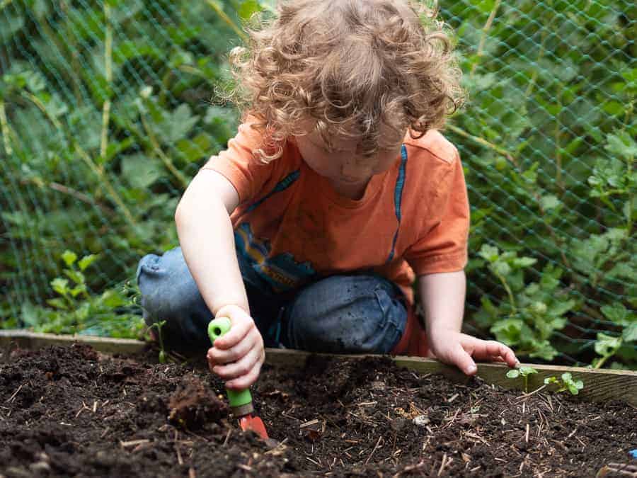 How to grow vegetables with kids