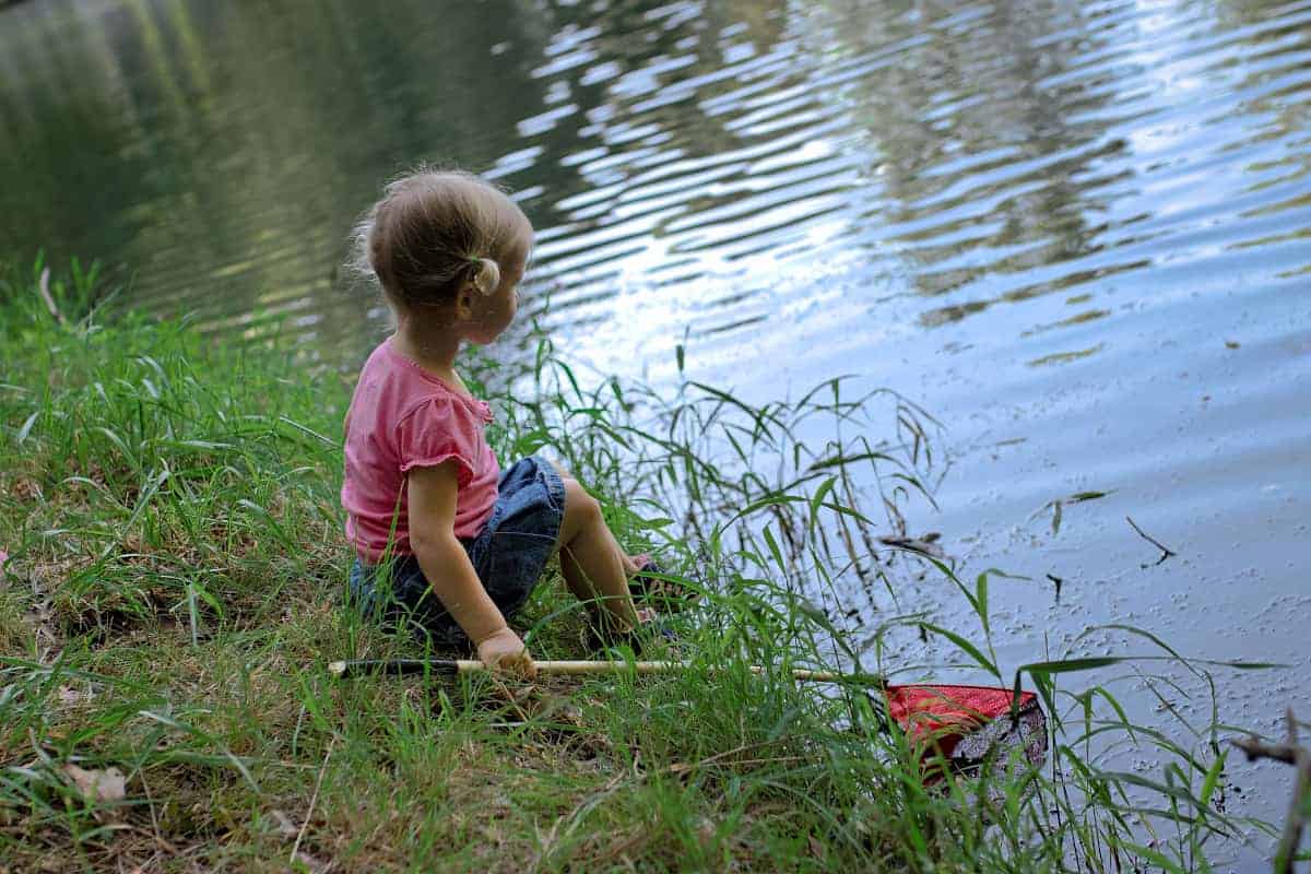 Exploring a pond with kids - Observation Sitting by Pond