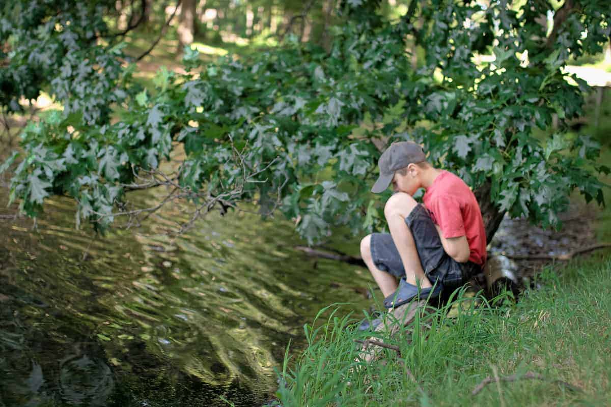 Ways to teach kids about pond life