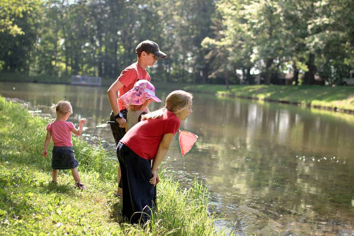 Sensory experience around the pond for kids