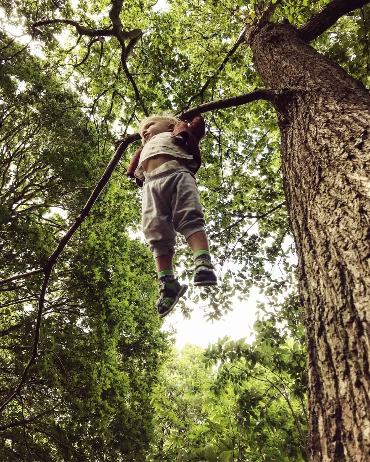 benefits of kids climbing trees & how to climb trees safely