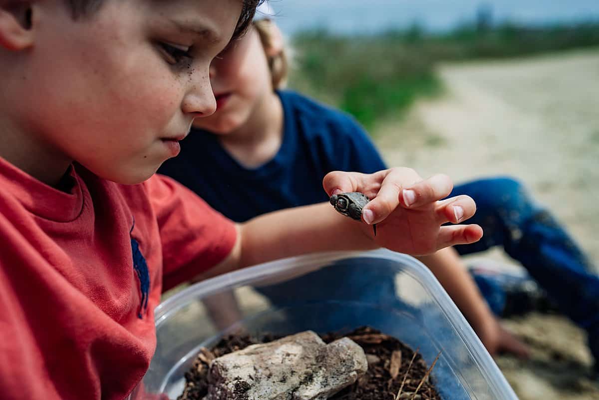 finding nature treasures on the beach - favorite water activities for kids