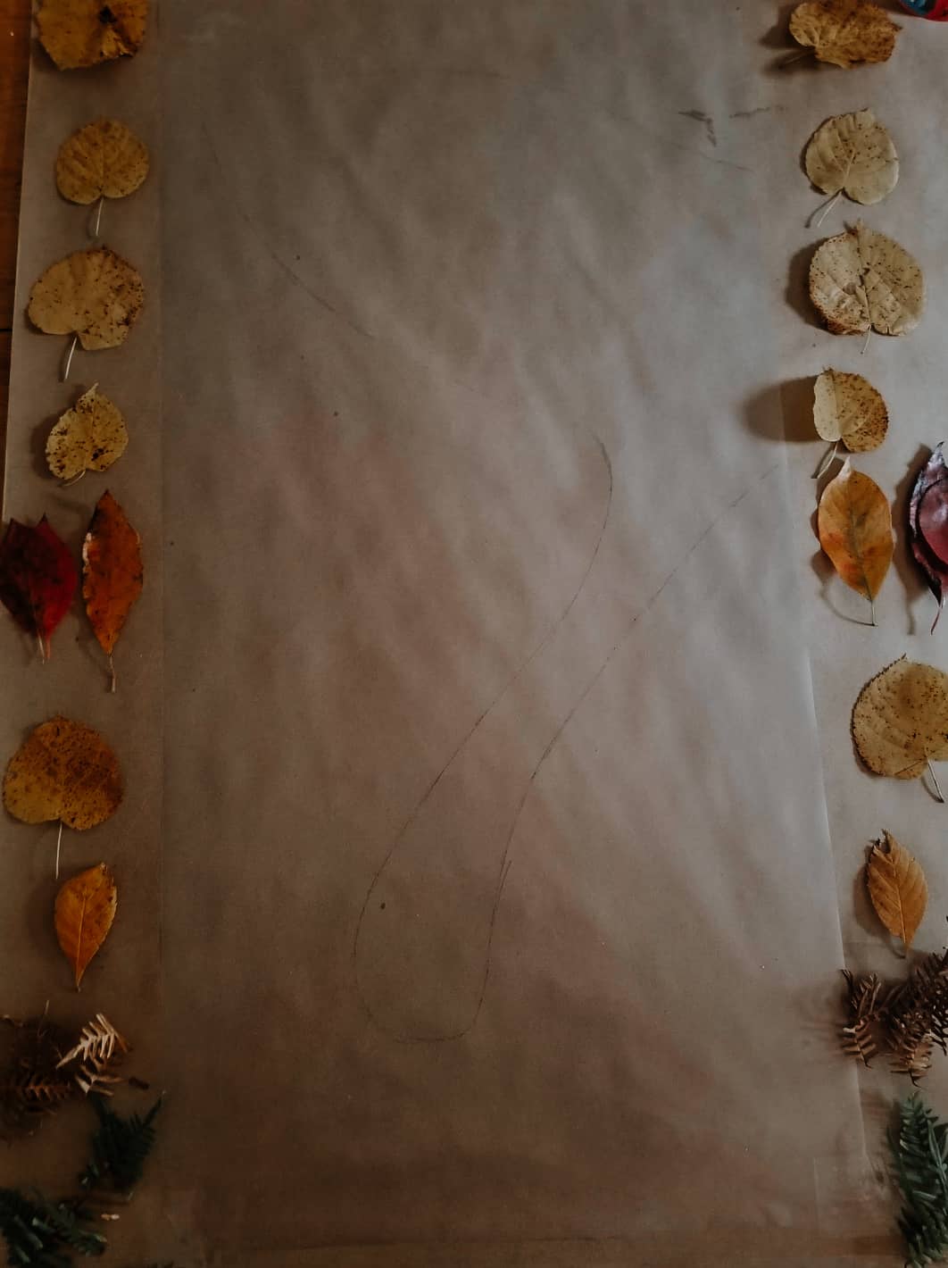 creating moth wings with leaves