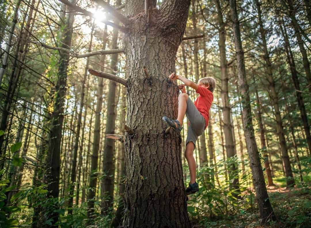 fall outdoor activities for kids - go climb a tree