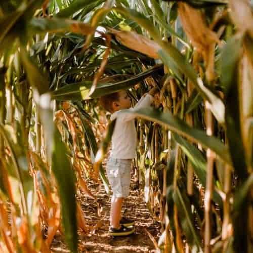 100+ Fall Outdoor Activities for Kids • RUN WILD MY CHILD