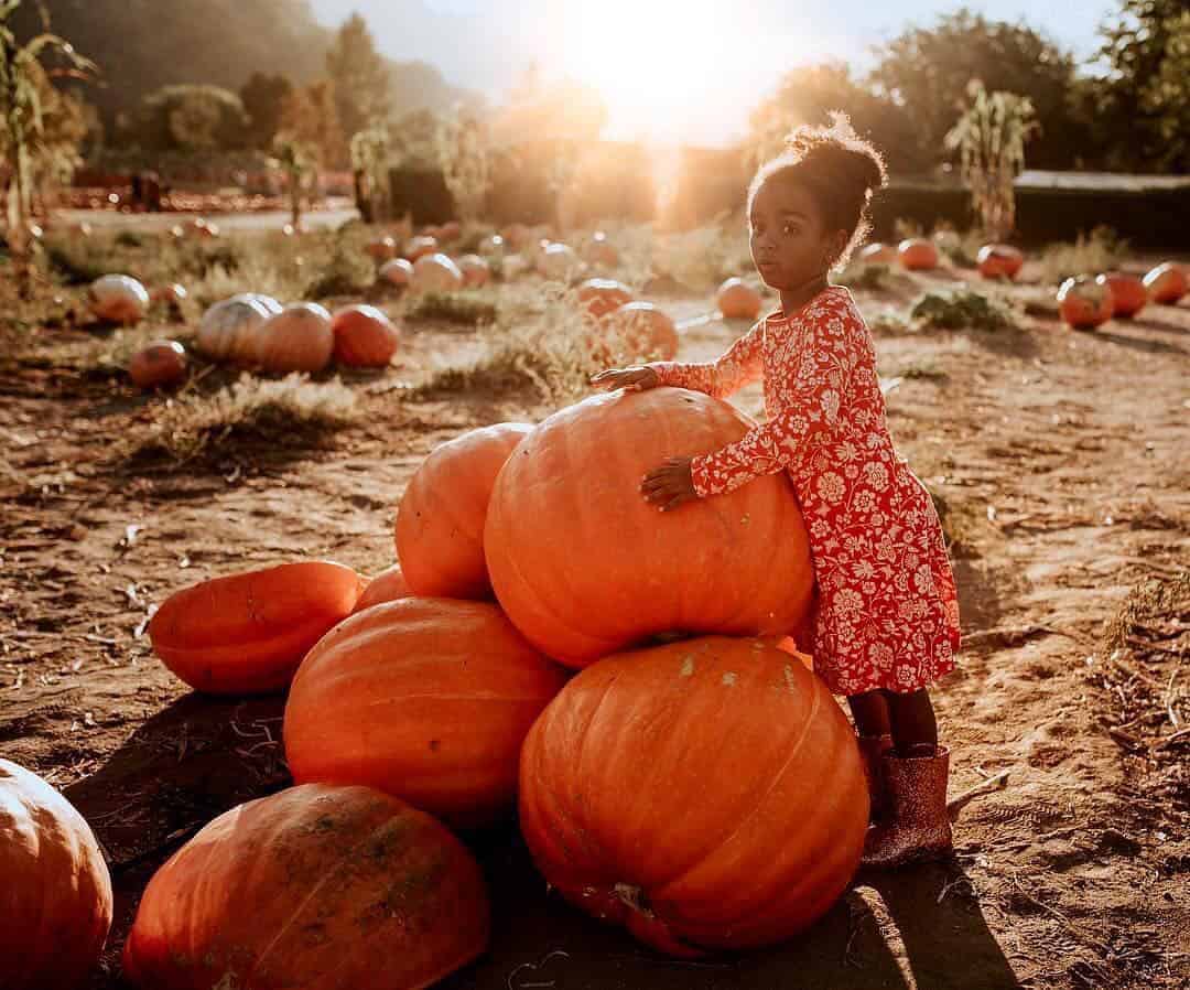 giant list of fall outdoor activities to do with kids