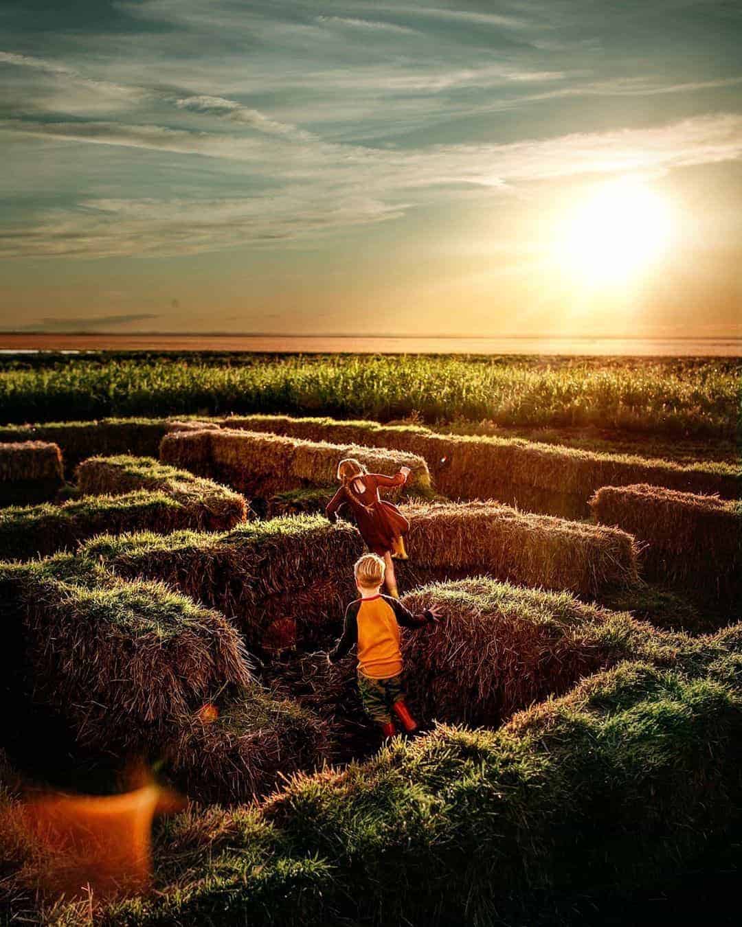 outdoor fall activities & ideas for kids - get lost in a corn maze