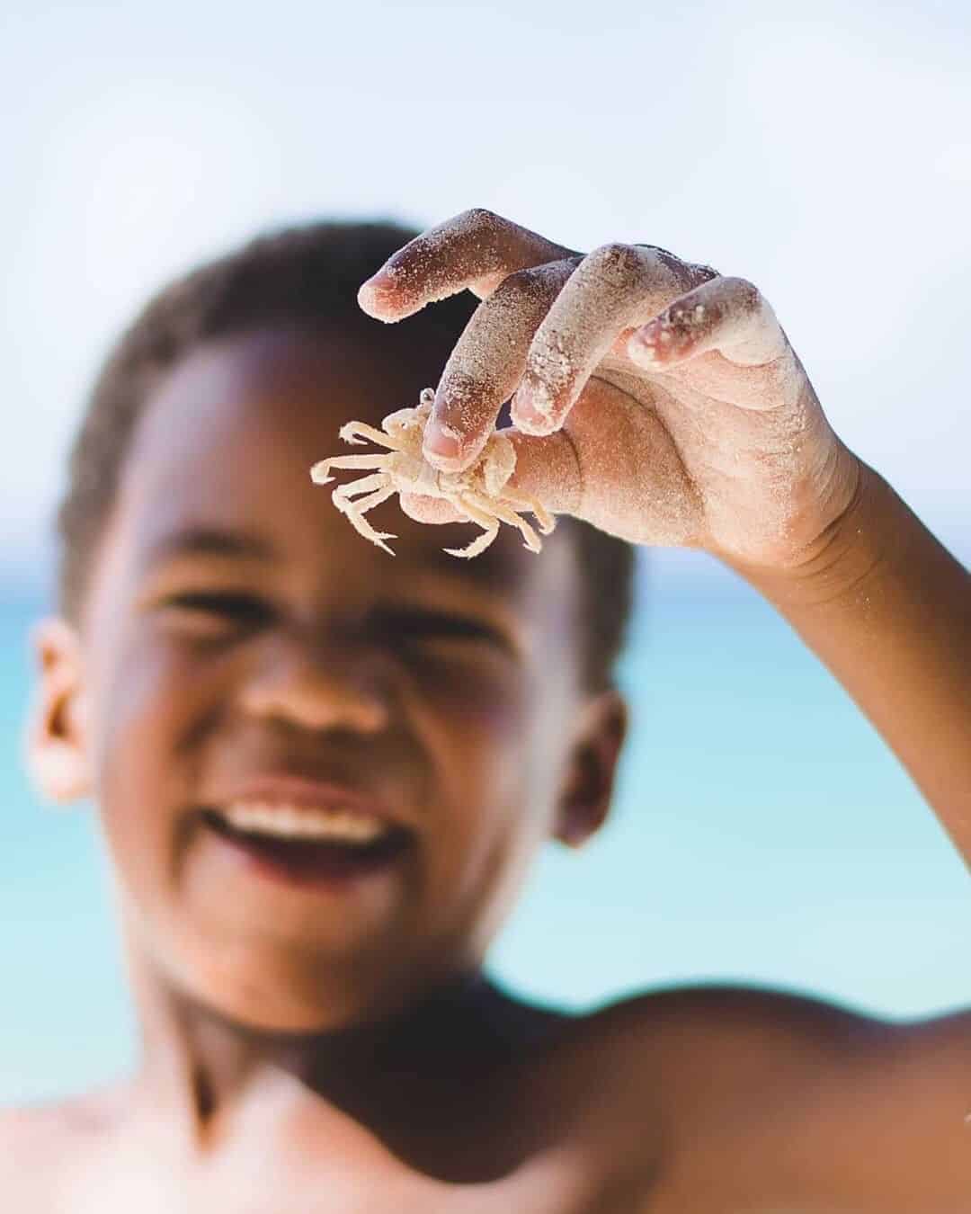 advice for helping kids that are scared of bugs, snakes and other creepy-crawlies