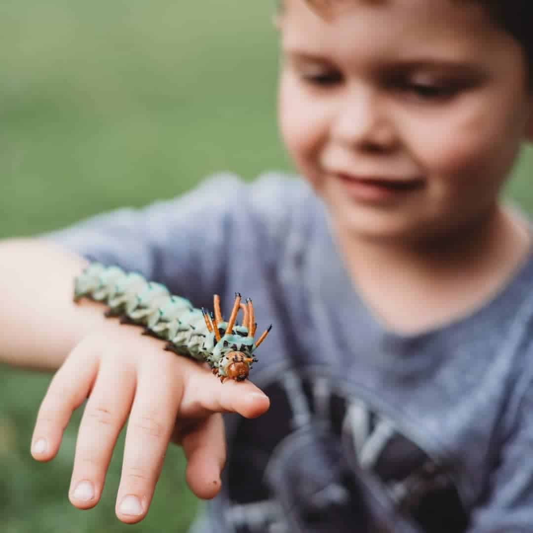 helping kids deal with their fear of bugs