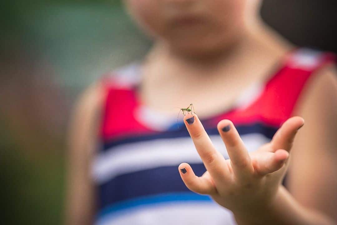 how to help your child get over their fear of bugs and insects