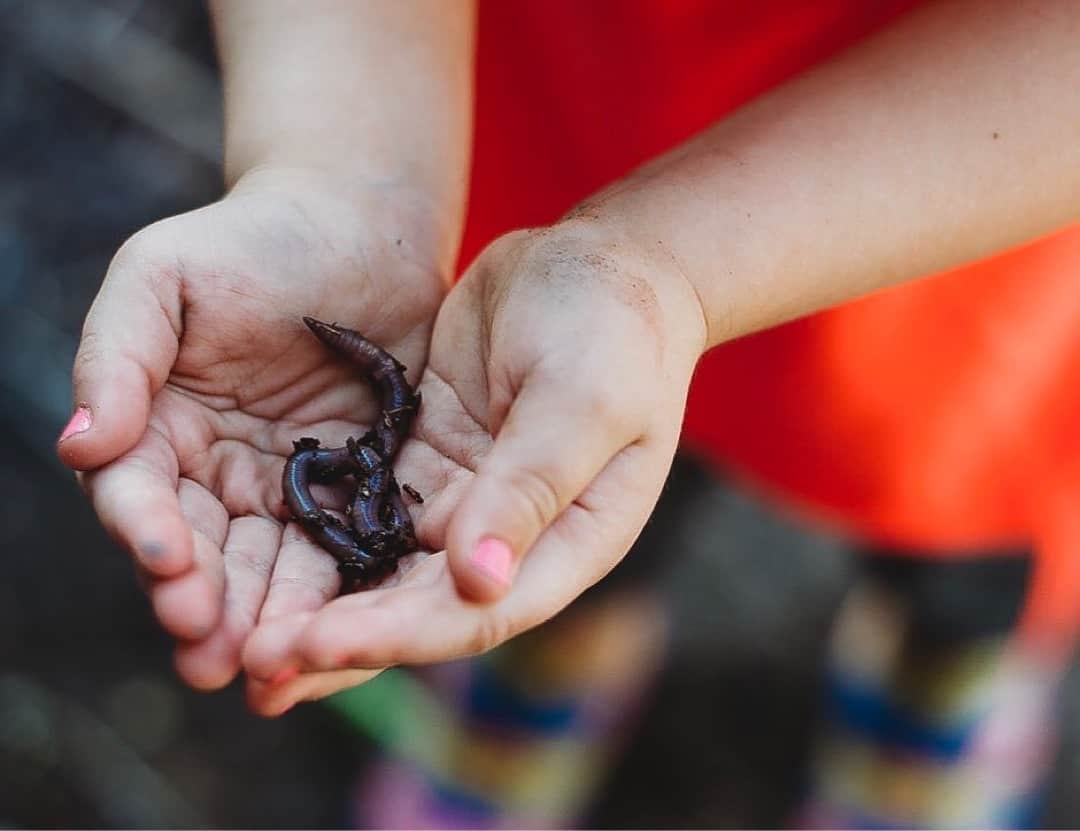 helping kids overcome fear of worms