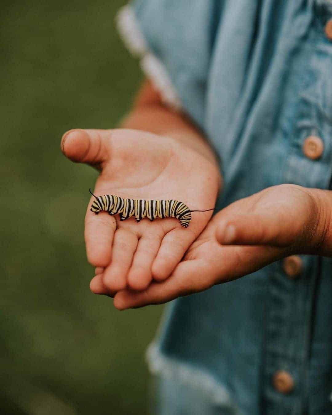 helping kids overcome fear of bugs