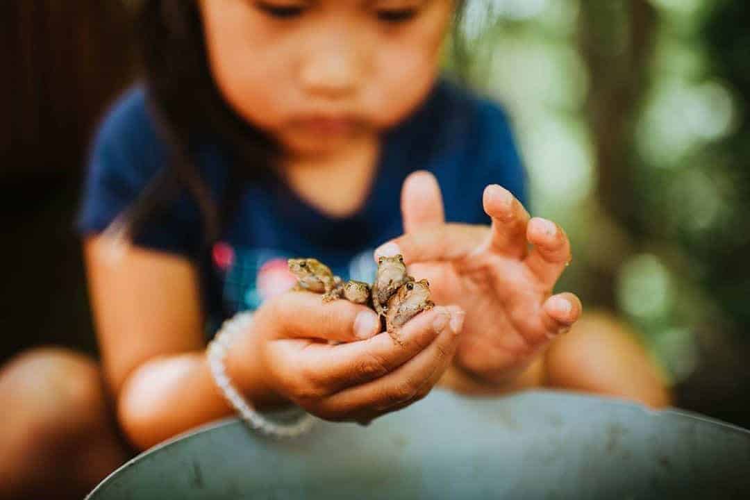 tips for overcoming a child's fear of insects, bugs and animals