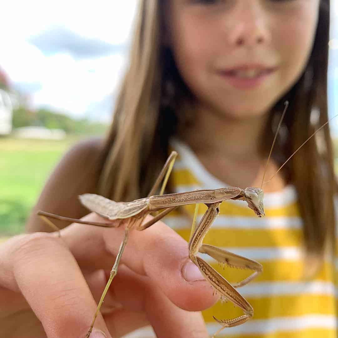fear of bugs is normal for children - here are tips to help