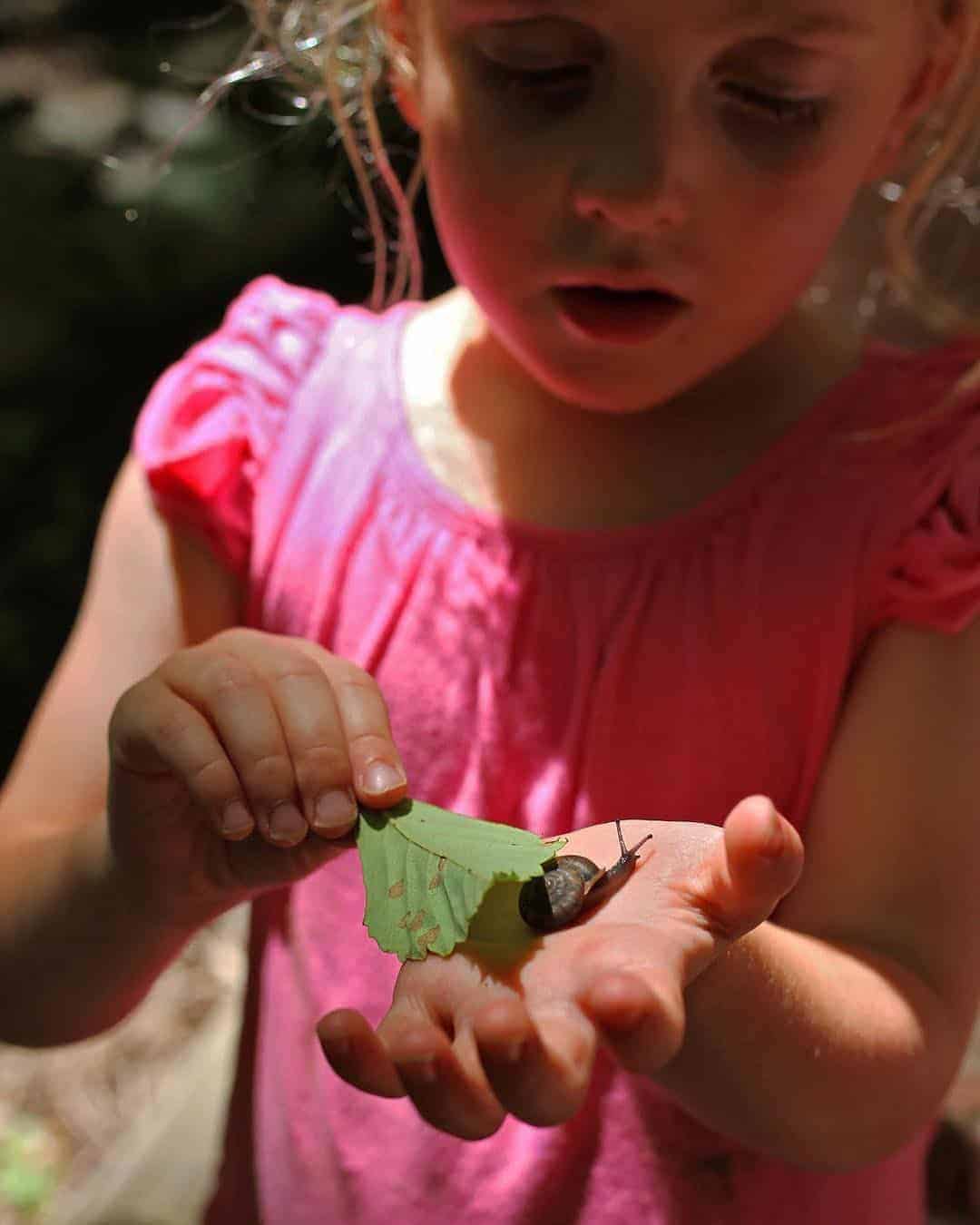 creative ways to help your child overcome a fear of bugs, insects and creepy-crawlies