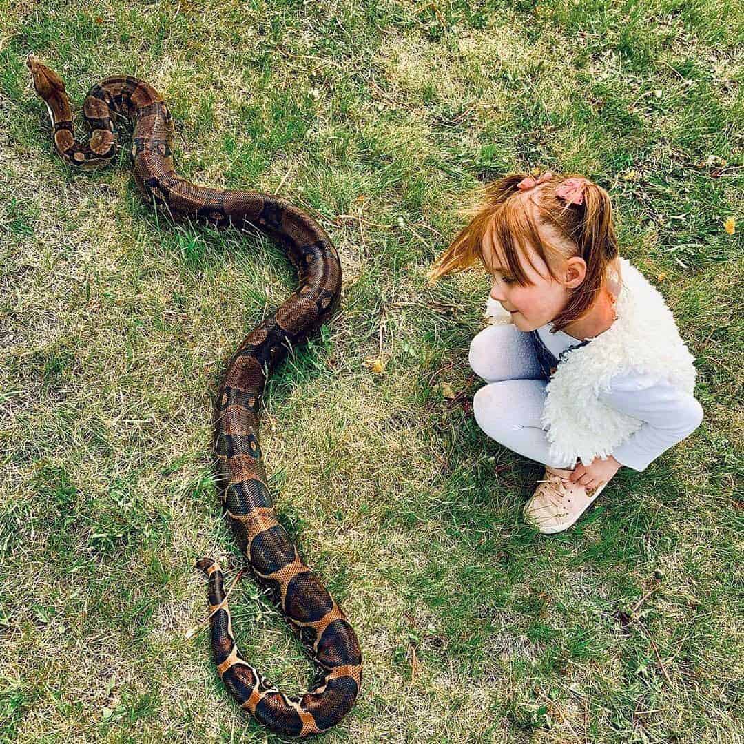 helping kids get over their fear of snakes, bees and insects