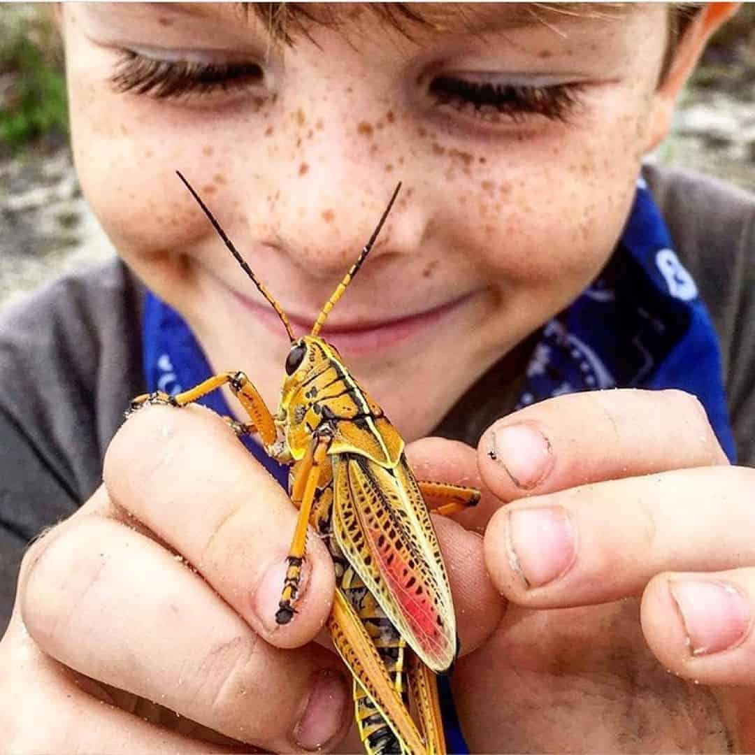 How to help your child overcome their fear of bugs, insects, snakes & other creepy crawlies