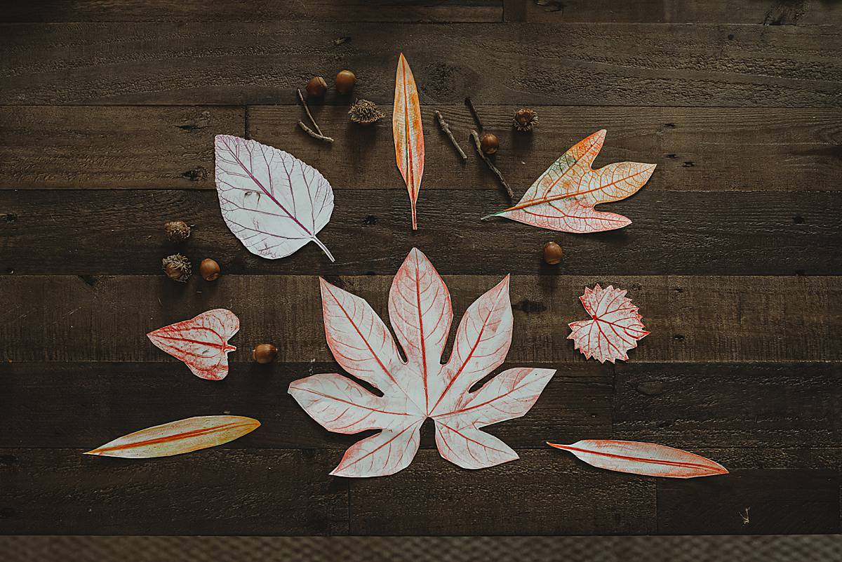 Fall Leaf Rubbings with kids