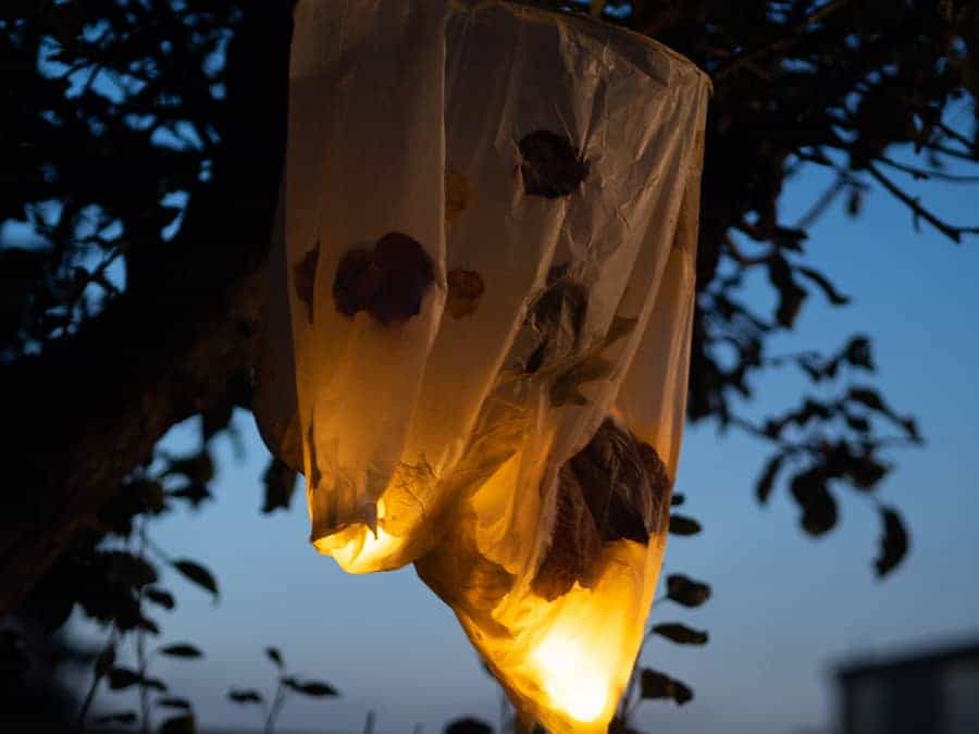 Fall leaf lantern - glowing at night