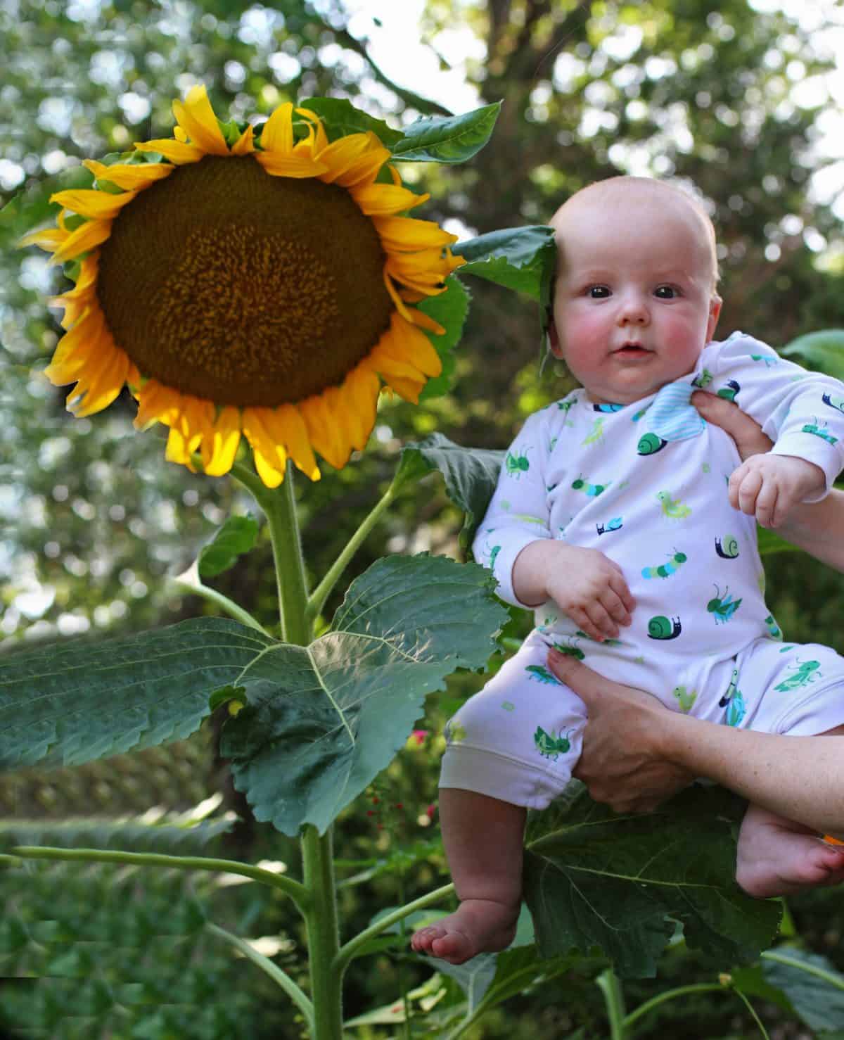 gardening with baby outside