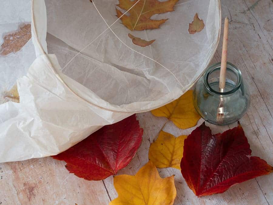 autumn leaf lantern