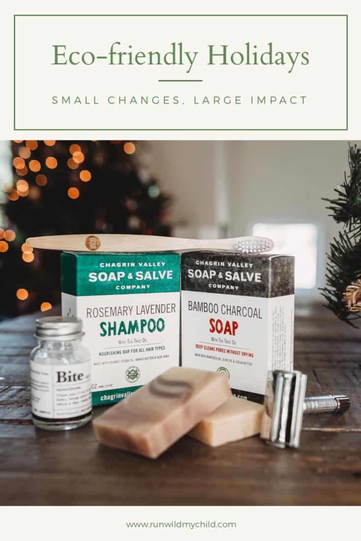 eco-friendly holiday gifts