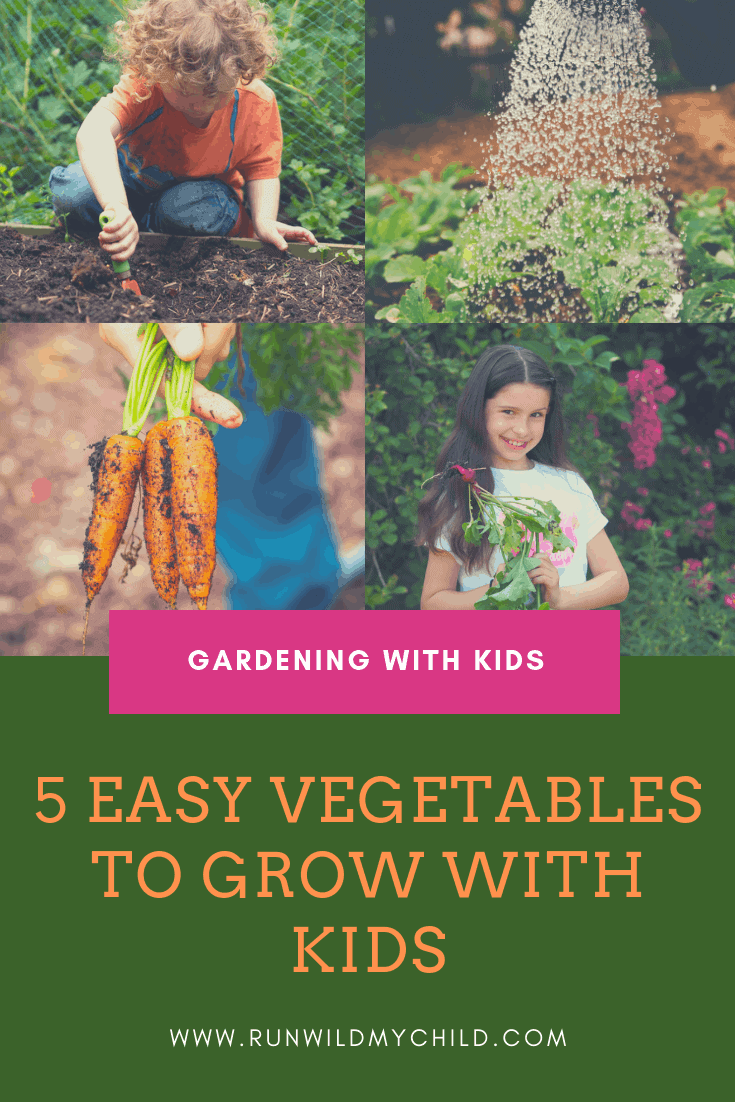 Gardening with Kids - 5 Easy Vegetables to Grow with Kids