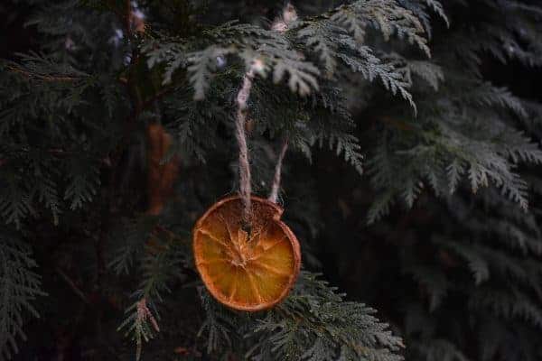 Winter Solstice Family Traditions & DIY Ornaments