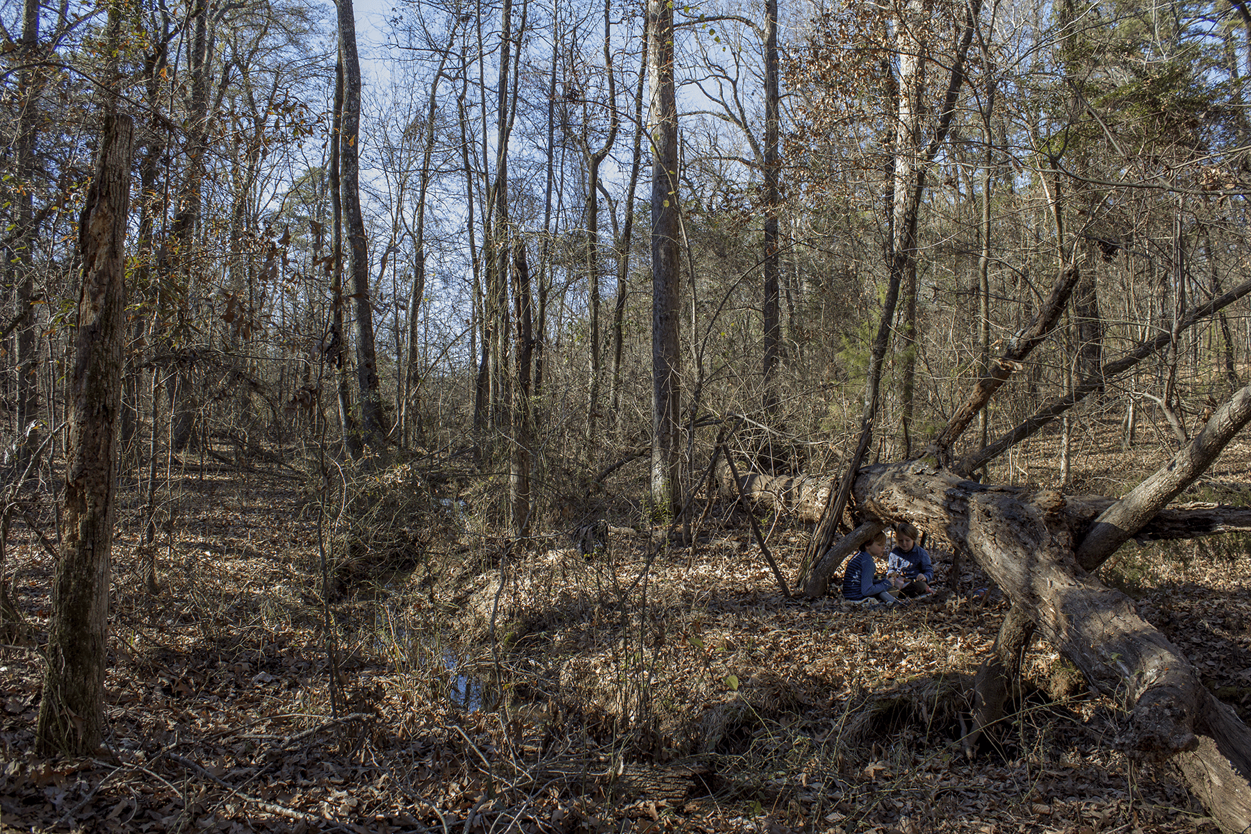 tips for building a fort with kids in the woods