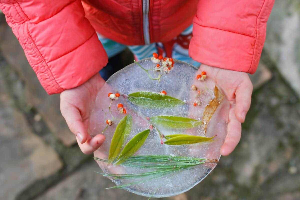 nature-inspired winter crafts for kids