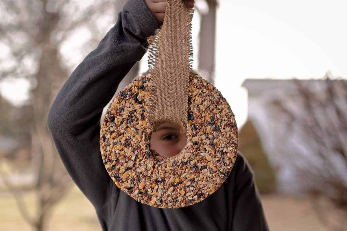 Easy and Eco-friendly Bird Feeders to Make with Kids