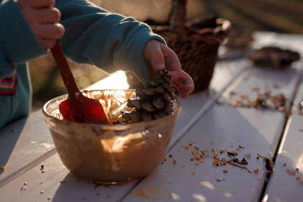 making pine cone feeders with kids