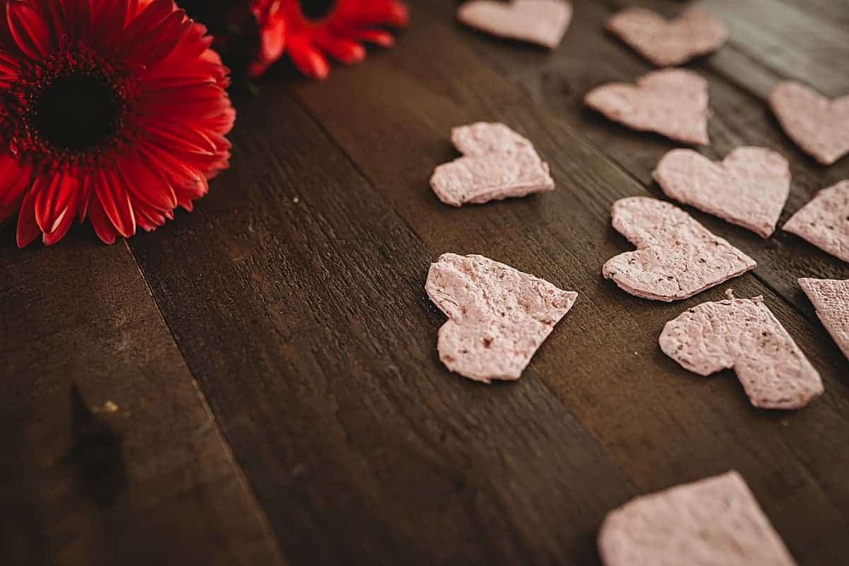 How to make plantable seed paper valentines with kids from recycled materials
