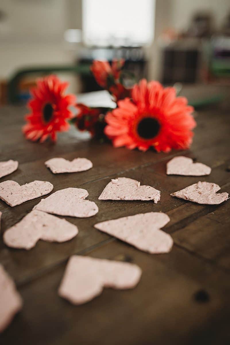 eco-friendly Valentines for kids - diy plantable seed paper