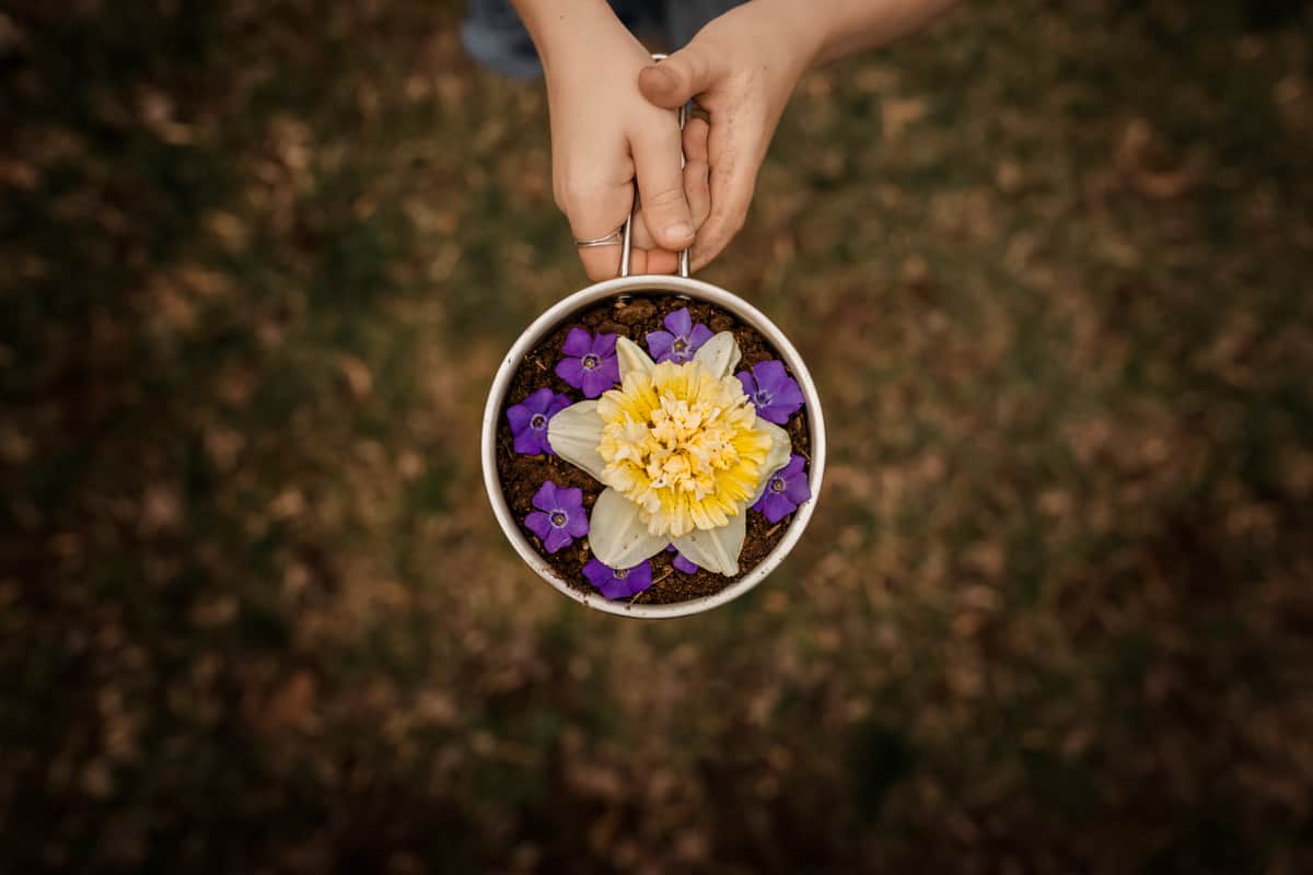 Mud Flower Pie