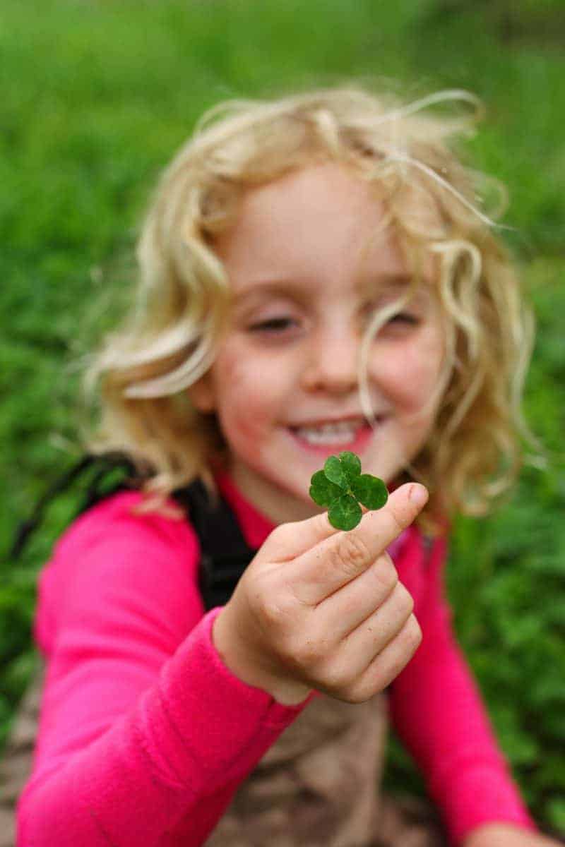 how to find a four-leaf clover