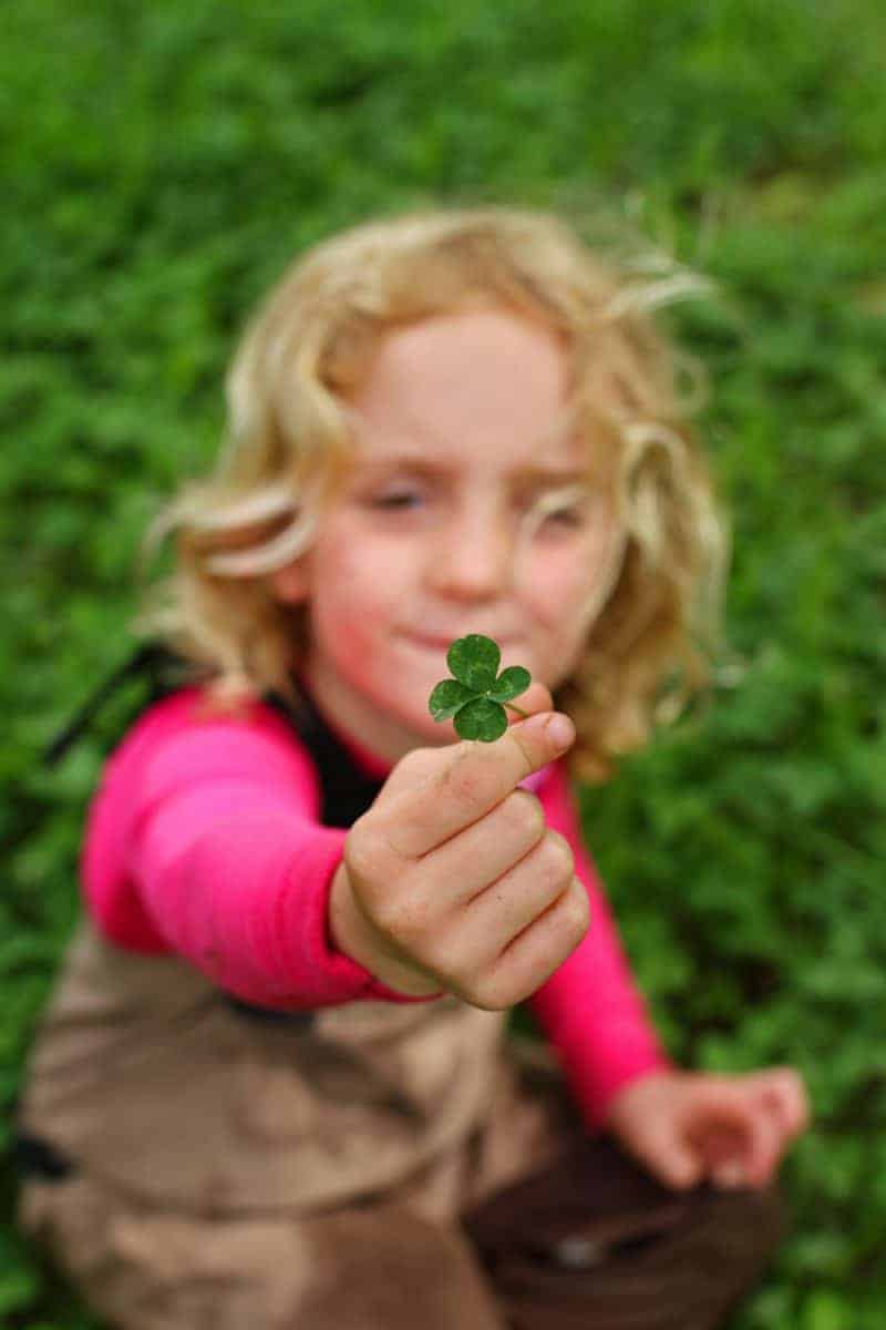 four leaf clover facts for kids