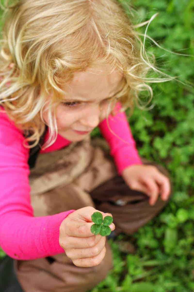 four-leaf clover hunt with kids