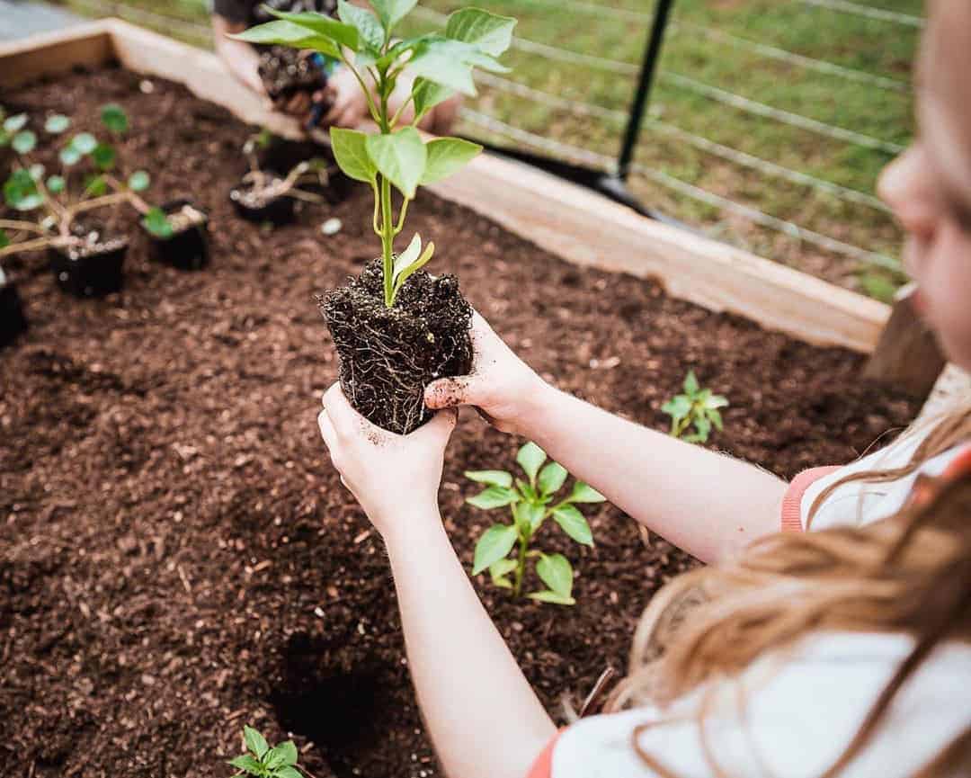 Gardening ideas for kids